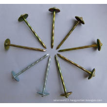 Galvanized Roofing Nail/Roofing Nails with Washer /Umbrella Roofing Nails